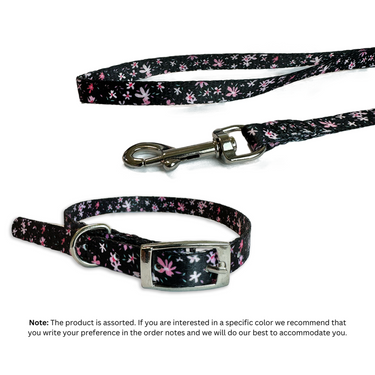 Daisy Nylon Set Dog Leash & Collar, Assorted Colors